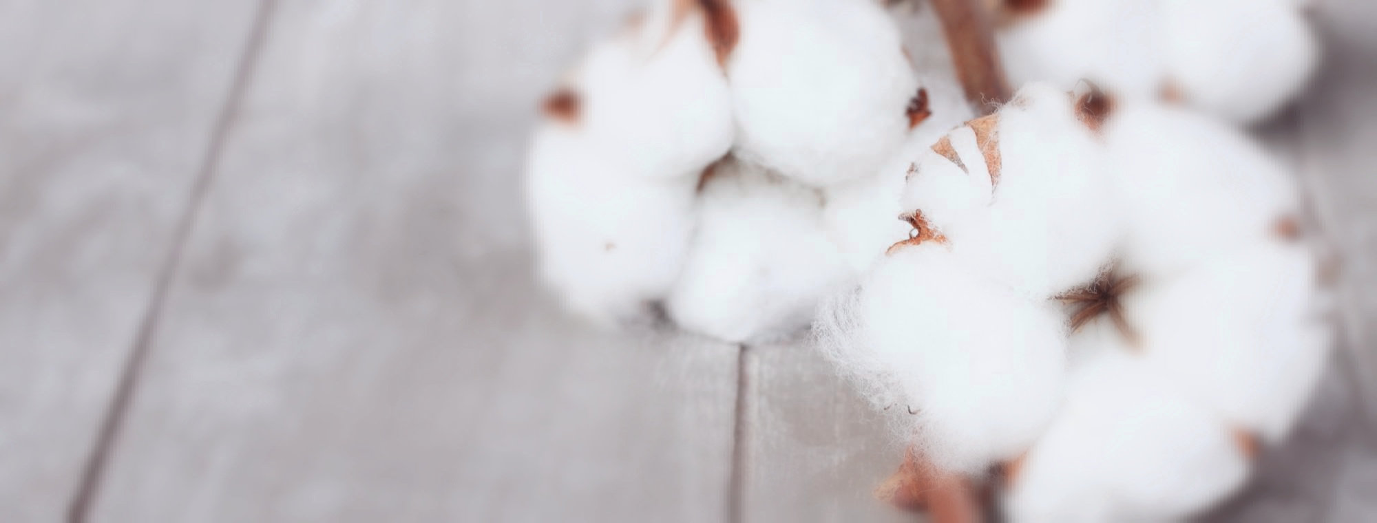 coton